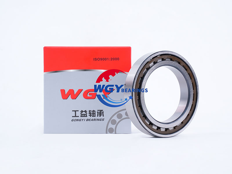 ECP Cylindrical roller bearings